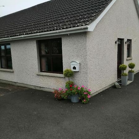 Lynn'S Lodge, International Airport 15Mins Randalstown Buitenkant foto
