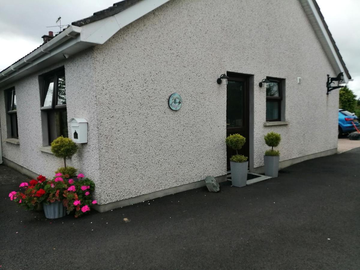 Lynn'S Lodge, International Airport 15Mins Randalstown Buitenkant foto