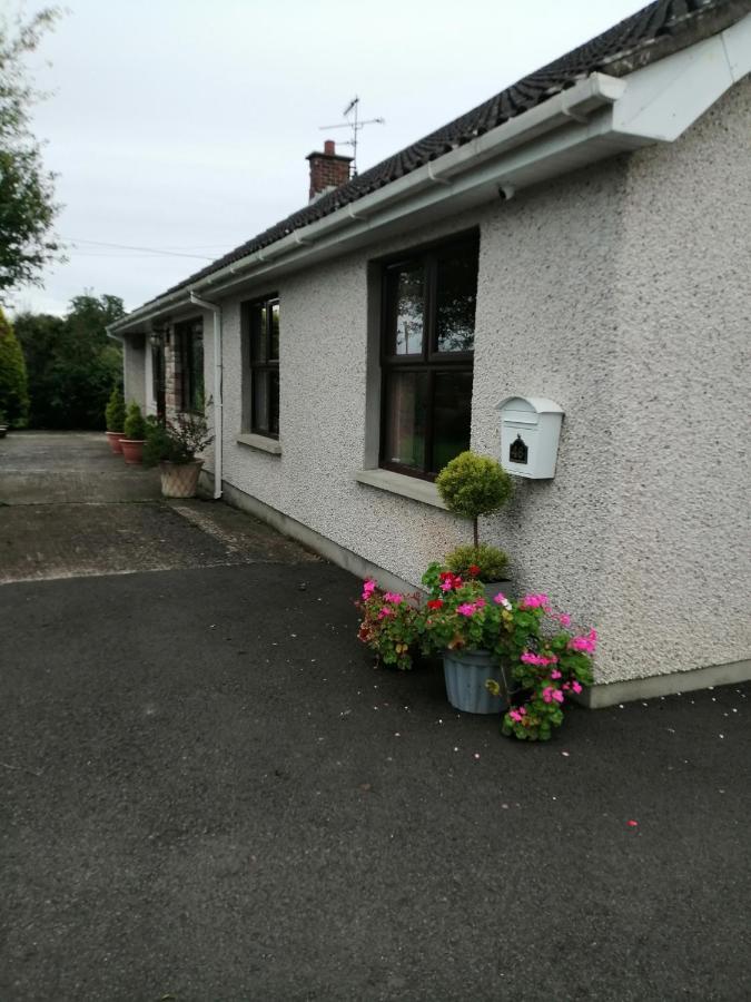 Lynn'S Lodge, International Airport 15Mins Randalstown Buitenkant foto