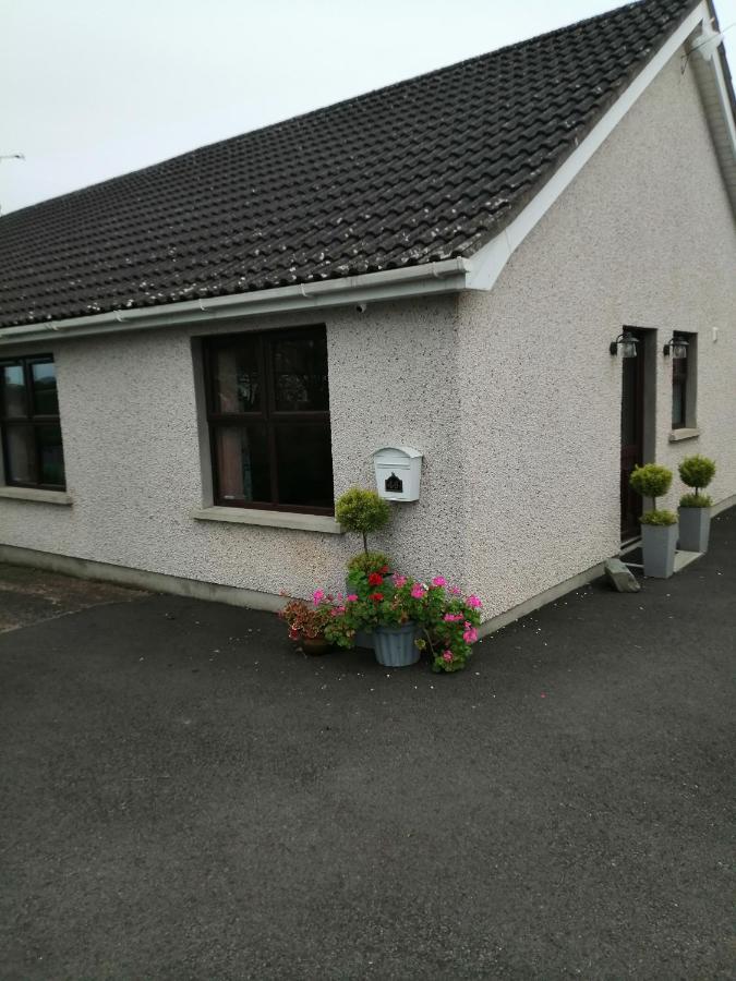 Lynn'S Lodge, International Airport 15Mins Randalstown Buitenkant foto
