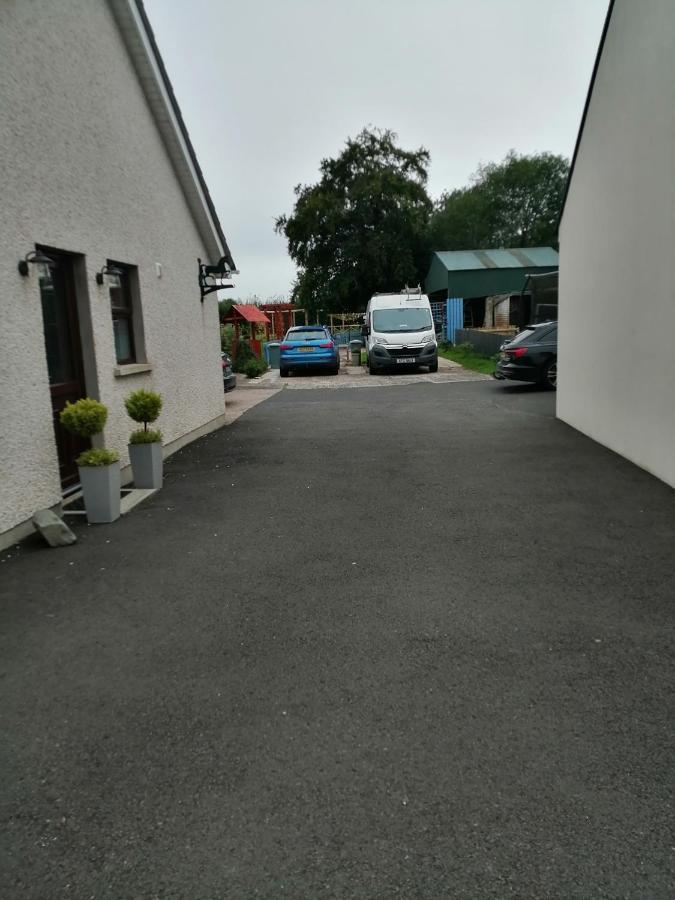 Lynn'S Lodge, International Airport 15Mins Randalstown Buitenkant foto